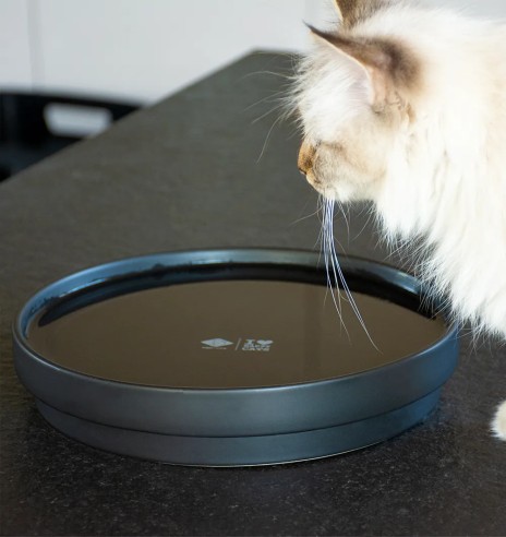 Keraamiline kauss kassile I Love Happy Cats (D&D)