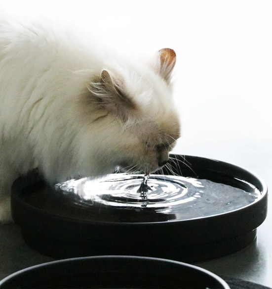 Keraamiline kauss kassile I Love Happy Cats (D&D)