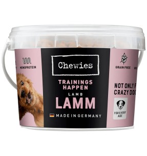 Kaelarihm koerale, hall valgete tähtedega Grey Letters (Dogness Elegant Printing)–Tekstiilist–Dogness–Valgekihv 2