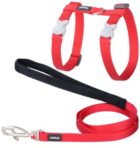 Kassi kaelarihm kollane, Classic Yellow (Red Dingo)–Kaelarihmad–Red Dingo–Valgekihv