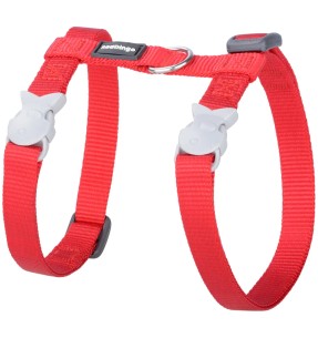 Kassi kaelarihm kollane, Classic Yellow (Red Dingo)–Kaelarihmad–Red Dingo–Valgekihv 2