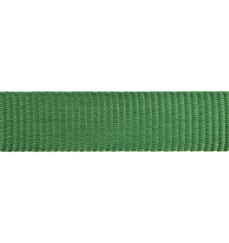 Koera jalutusrihm nailonrihm Classic, 1.1–1.8...