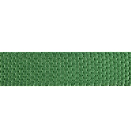 Koera jalutusrihm nailonrihm Classic, 1.1–1.8 m, roheline (Red Dingo)