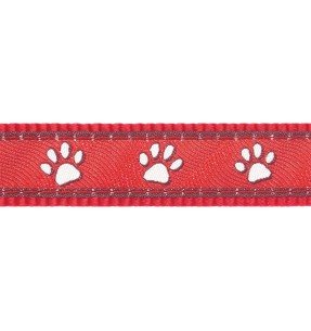 Pesa koerale Whooly (Doogy)–Pesad–Chadog–Valgekihv 2