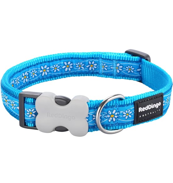 Ошейник для собак с дизайнерским принтом Daisy Chain Turquoise (Red Dingo)