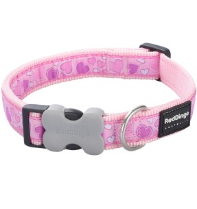 Ошейник для собак с дизайнерским принтом Daisy Chain Turquoise (Red Dingo) – Disainmustriga – Red Dingo – Valgekihv