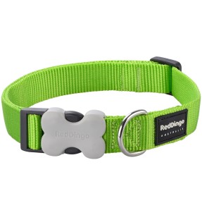 Kaelarihm koerale, nailonrihm helkurniitidega, pruun (Dogness Herringbone Webbing)–Tekstiilist–Dogness–Valgekihv