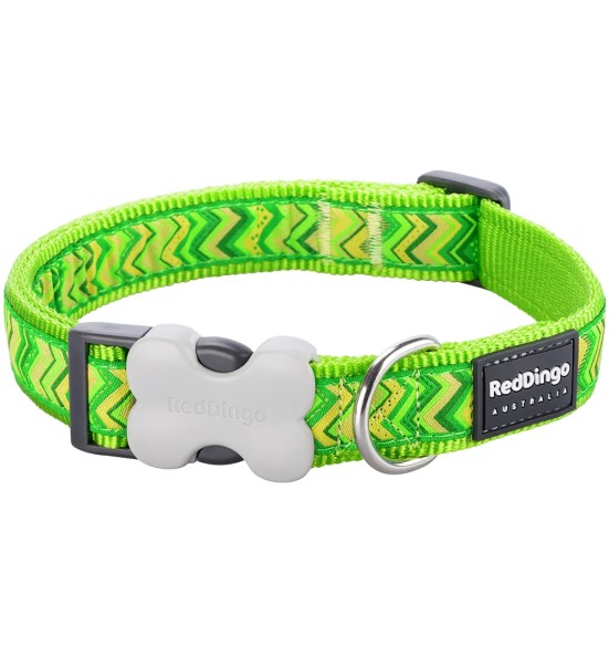 Kaelarihm koerale, disainmustriga Pizzazz Lime Green (Red Dingo)
