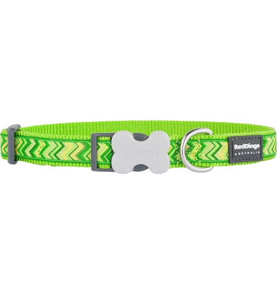 Kaelarihm koerale, disainmustriga Pizzazz Lime Green (Red Dingo)