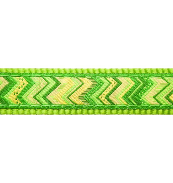 Kaelarihm koerale, disainmustriga Pizzazz Lime Green (Red Dingo)