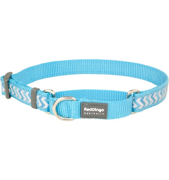 Kaelarihm koerale, poolpoov helkurmustriga Reflective Ziggy Turquoise (Red Dingo)