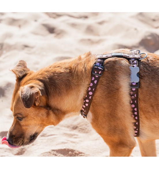 Шлейки для собак с дизайнерским принтом Pink Spots on Brown (Red Dingo)