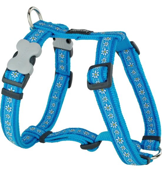 Traksid koerale, disainmustriga Daisy Chain Turquoise (Red Dingo)