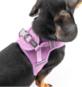 Шлейка для собак из натурального модала и хлопка, серая (Dogness Modal Cotton) – Текстильные шлейки – Dogness – Valgekihv 2