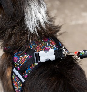 Сетчатая шлейка для собак, красная (Red Dingo) – Текстильные шлейки – Red Dingo – Valgekihv 2