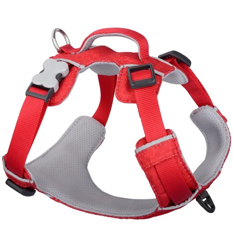 Traksid koerale SPORT, punane (Red Dingo)