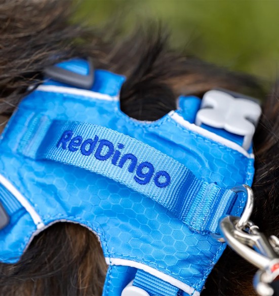 Traksid koerale SPORT, sinine (Red Dingo)