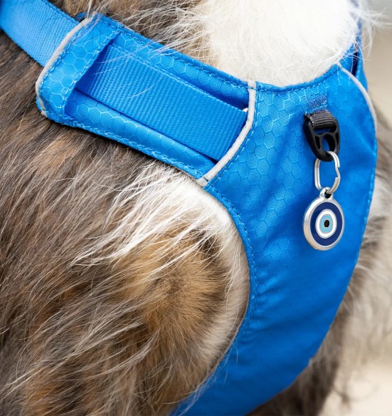 Traksid koerale SPORT, sinine (Red Dingo)