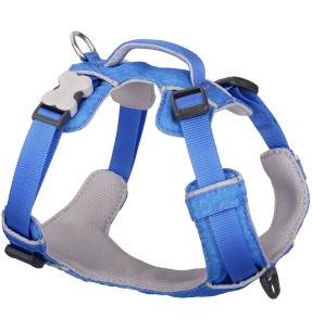 Traksid koerale võrkkangast, punane (Red Dingo)–Tekstiilist–Red Dingo–Valgekihv