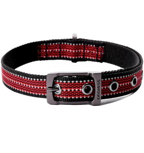 Салфетки для собак и кошек с натуральными маслами и экстрактами, 100 шт (AFP - Pet Salon) – Silmadeleja kõrvadele – AFP - All For Paws – Valgekihv