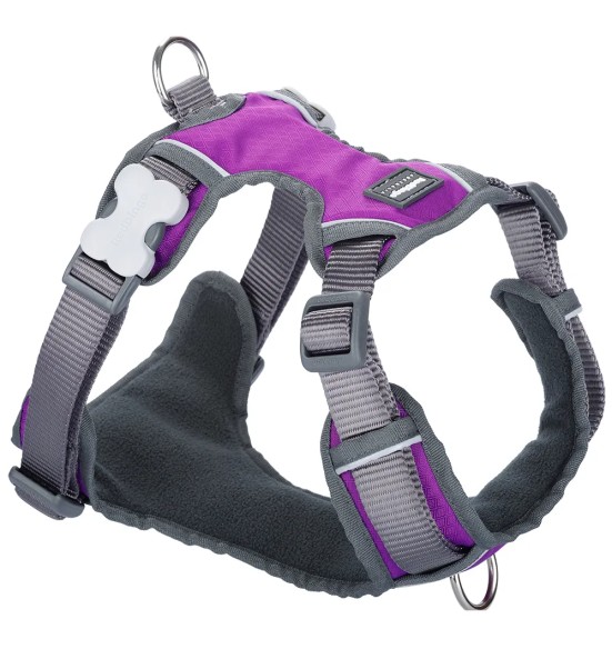 Шлейка с мягкой подкладкой для собак Padded Harness Purple (Red Dingo)