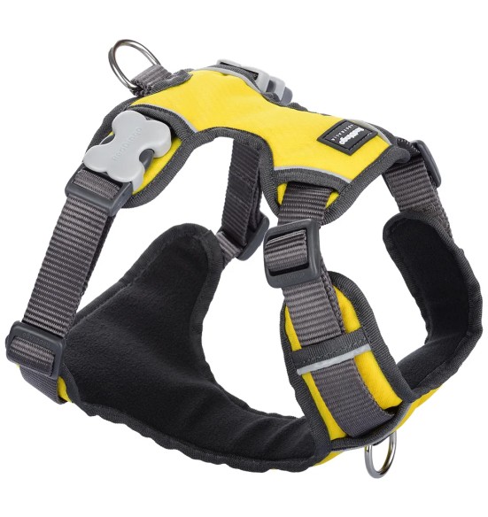 Traksid koerale vooderdatud Padded Harness Yellow (Red Dingo)