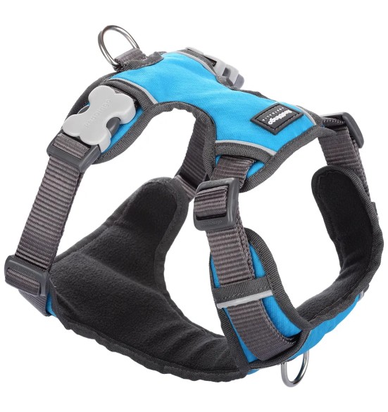 Traksid koerale vooderdatud Padded Harness Turquoise (Red Dingo)