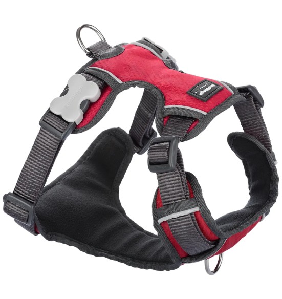 Traksid koerale vooderdatud Padded Harness Red (Red Dingo)