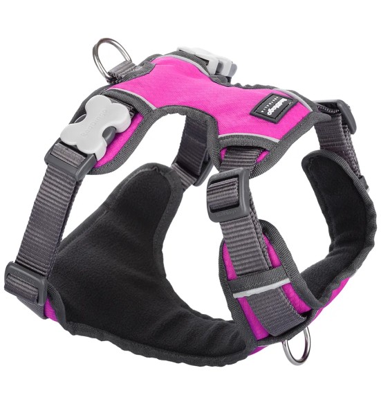 Traksid koerale vooderdatud Padded Harness Hot Pink (Red Dingo)