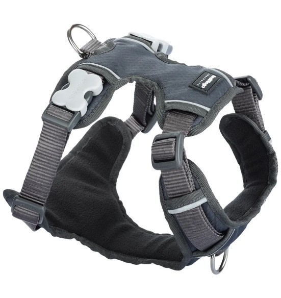 Traksid koerale vooderdatud Padded Harness Grey (Red Dingo)