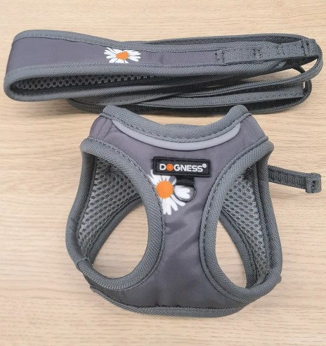 Traksid ja jalutusrihm väikesele lemmikloomale,...