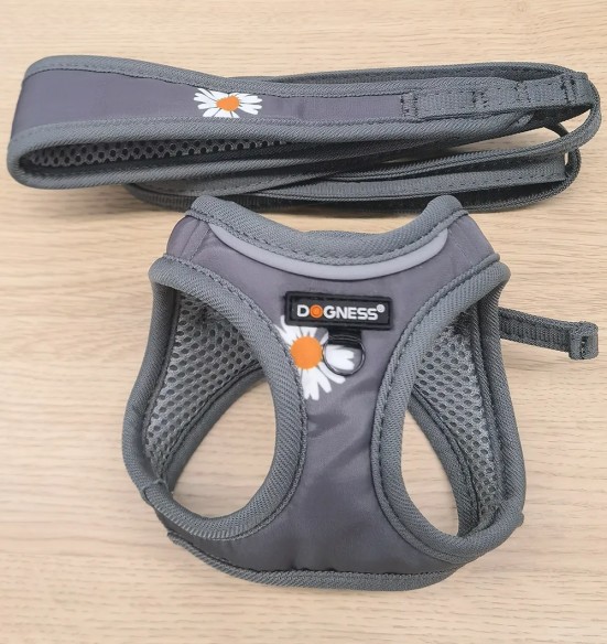 Traksid ja jalutusrihm väikesele lemmikloomale, hall (Dogness ELF)