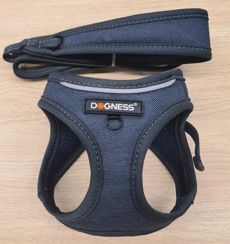 Traksid ja jalutusrihm väikesele lemmikloomale,...