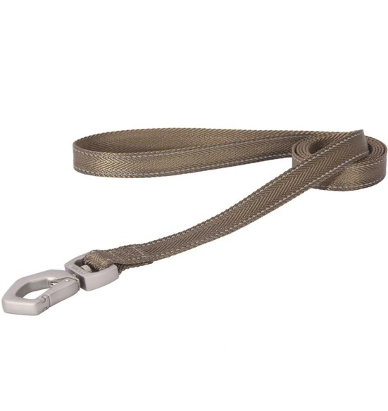 Jalutusrihm koerale, nailonrihm helkurniitidega, pruun (Dogness Herringbone Webbing)