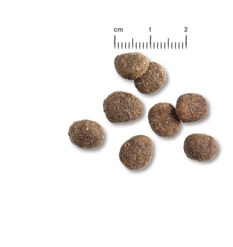 BELCANDO kiirkastmega kuivtoit ülekaalulisele...