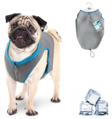 Jahutusvest koerale (AFP - Chill Out)