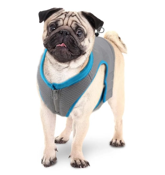 Jahutusvest koerale (AFP - Chill Out)