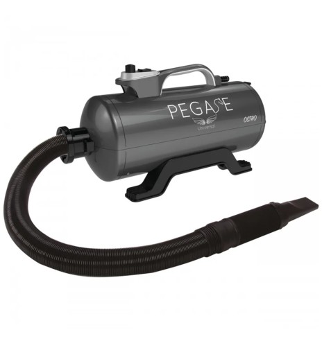 Föön koera kuivatamiseks Ostro, 2400 W (Phoenix...