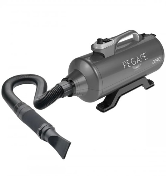 Föön koera kuivatamiseks Ostro, 2400 W (Phoenix Universal)