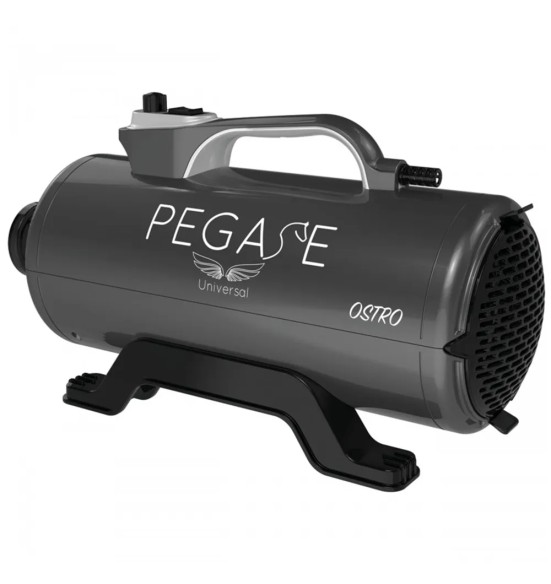 Föön koera kuivatamiseks Ostro, 2400 W (Phoenix Universal)