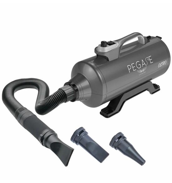 Föön koera kuivatamiseks Ostro, 2400 W (Phoenix Universal)