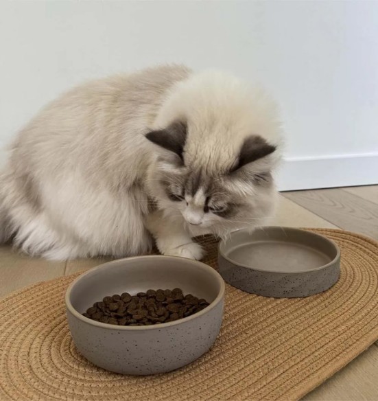 Kauss keraamiline Stone Smooth Dune (Duvoplus)