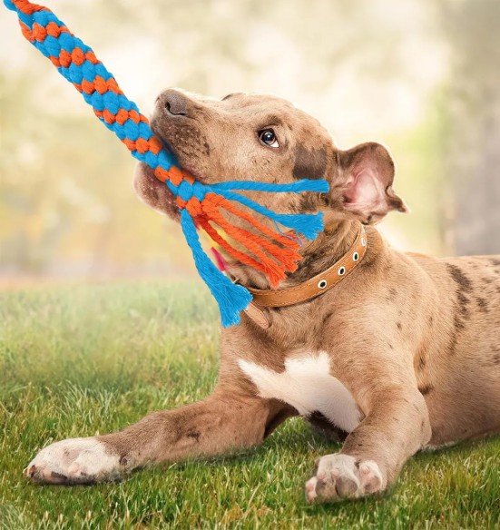 Peibutus-mänguasi koerale, teleskoopvarrega Dog Flirt Pole (AFP - Wag! Play)
