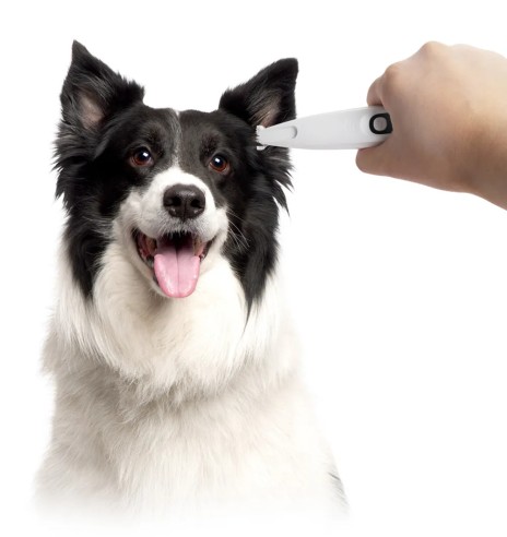 Lemmiklooma trimmer väikeste piirkondade...