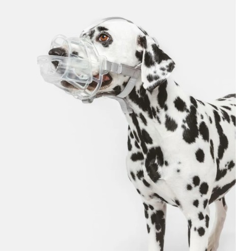 Намордник для собак из прозрачного пластика...