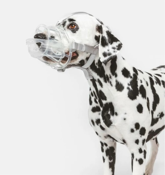 Suukorv läbipaistvast plastikust Basket Muzzle (Pawise)