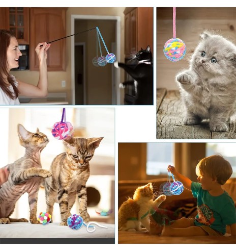 Kassi mänguasi, kaks kõrisevat palli Color...