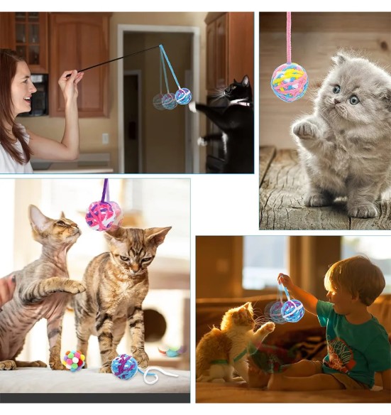 Kassi mänguasi, kaks kõrisevat palli Color Balls (Pawise)