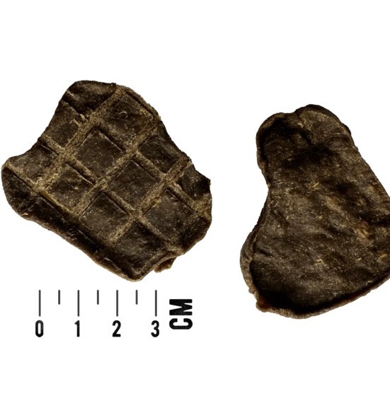 Koeramaius veiseliha ja mustikatega, pehme, teraviljavaba Mac's Meat Bits