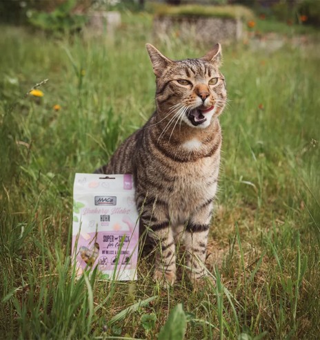 MAC's Shakery Sticks pehme maius kassile,...